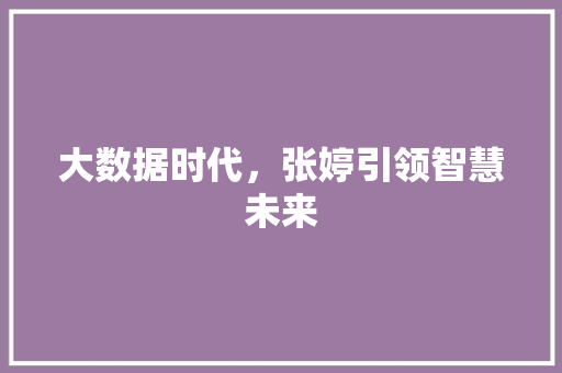 大数据时代，张婷引领智慧未来