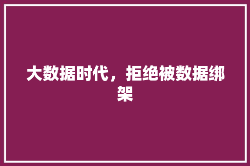 大数据时代，拒绝被数据绑架 必应SEO