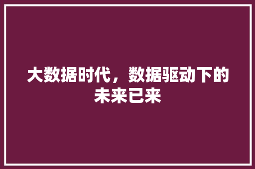 大数据时代，数据驱动下的未来已来 神马SEO