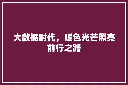 大数据时代，暖色光芒照亮前行之路