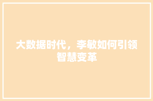 大数据时代，李敏如何引领智慧变革 GoogleSEO