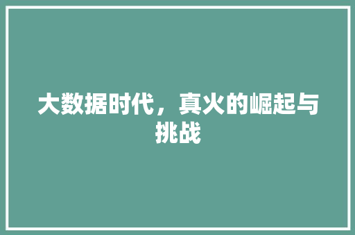 大数据时代，真火的崛起与挑战