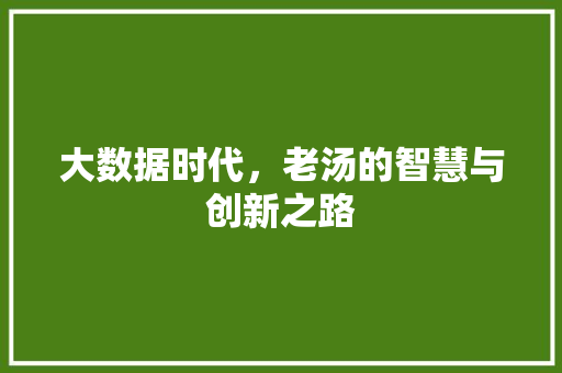 大数据时代，老汤的智慧与创新之路 必应SEO