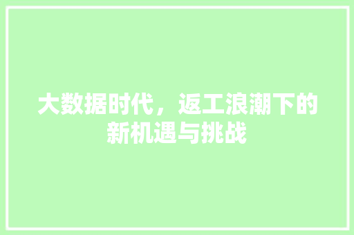 大数据时代，返工浪潮下的新机遇与挑战