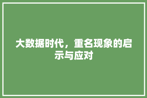 大数据时代，重名现象的启示与应对