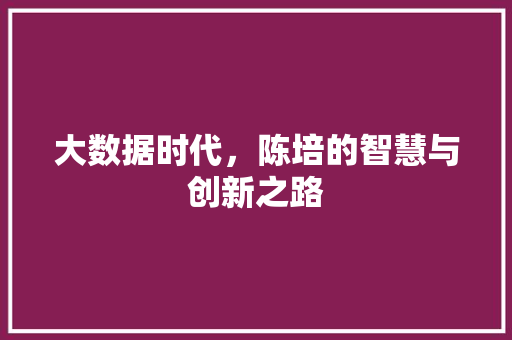 大数据时代，陈培的智慧与创新之路