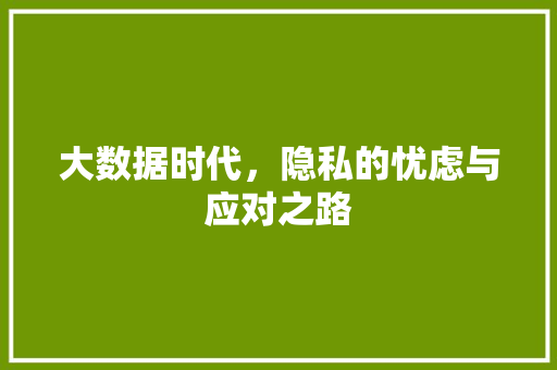 大数据时代，隐私的忧虑与应对之路