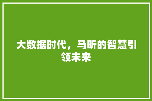 大数据时代，马昕的智慧引领未来