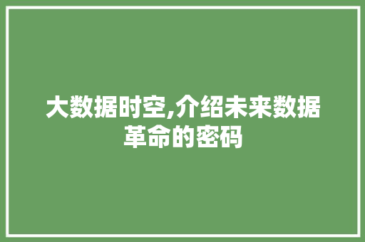 大数据时空,介绍未来数据革命的密码