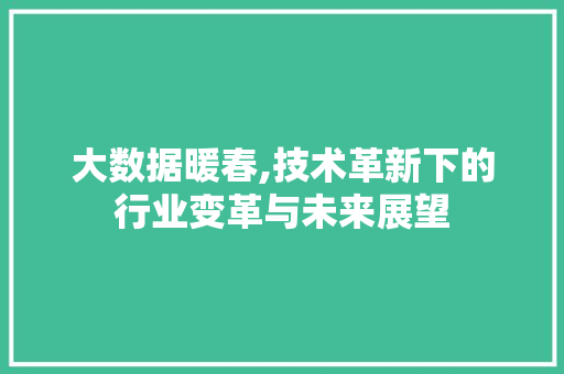 大数据暖春,技术革新下的行业变革与未来展望 神马SEO