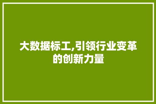 大数据标工,引领行业变革的创新力量