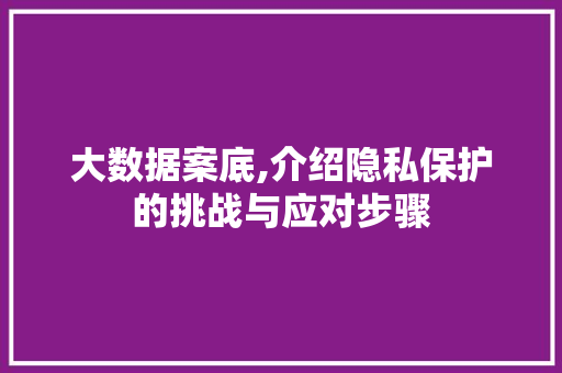 大数据案底,介绍隐私保护的挑战与应对步骤 搜狗SEO