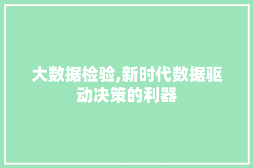 大数据检验,新时代数据驱动决策的利器 神马SEO