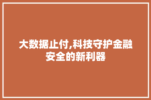 大数据止付,科技守护金融安全的新利器 GoogleSEO