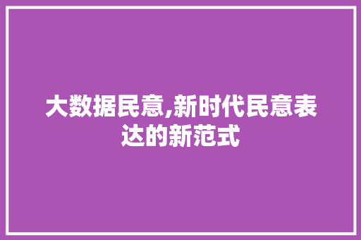 大数据民意,新时代民意表达的新范式 百度SEO