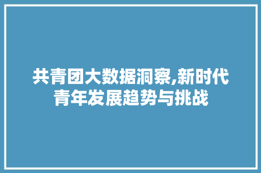 共青团大数据洞察,新时代青年发展趋势与挑战