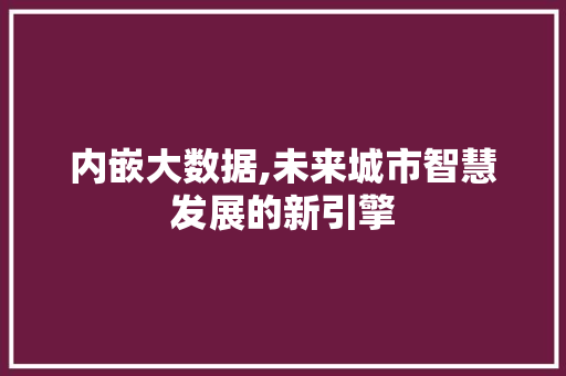 内嵌大数据,未来城市智慧发展的新引擎 GoogleSEO