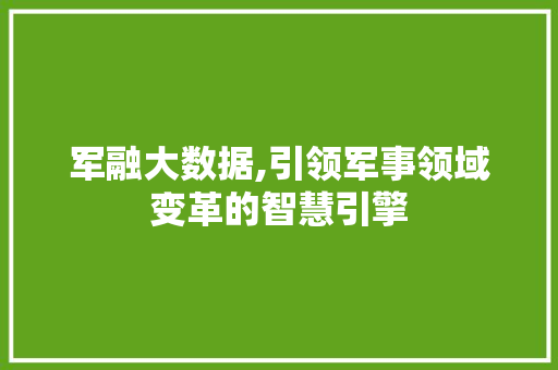 军融大数据,引领军事领域变革的智慧引擎 GoogleSEO