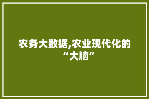农务大数据,农业现代化的“大脑” GoogleSEO