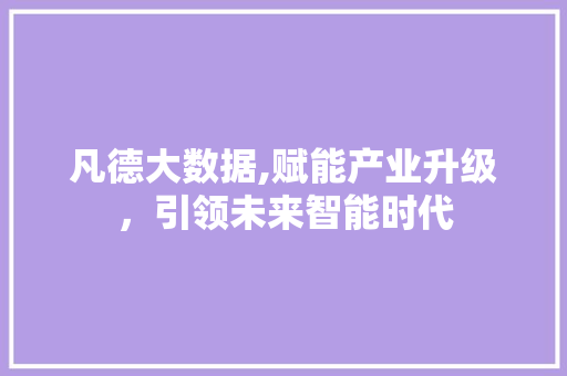 凡德大数据,赋能产业升级，引领未来智能时代 必应SEO