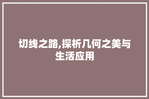 切线之路,探析几何之美与生活应用 搜狗SEO