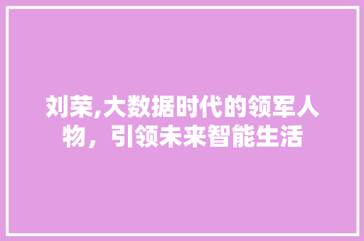 刘荣,大数据时代的领军人物，引领未来智能生活 百度SEO