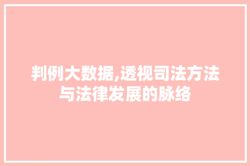判例大数据,透视司法方法与法律发展的脉络 神马SEO