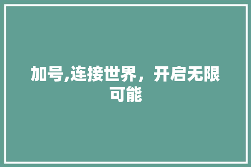 加号,连接世界，开启无限可能 百度SEO