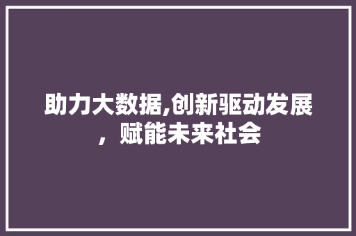 助力大数据,创新驱动发展，赋能未来社会