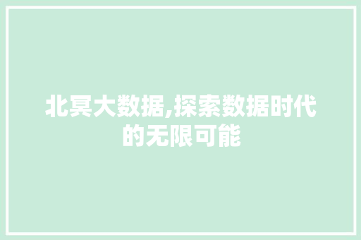 北冥大数据,探索数据时代的无限可能 GoogleSEO
