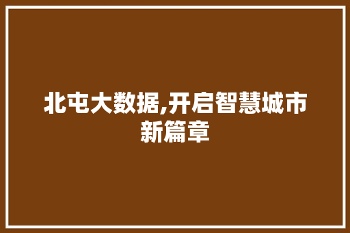 北屯大数据,开启智慧城市新篇章