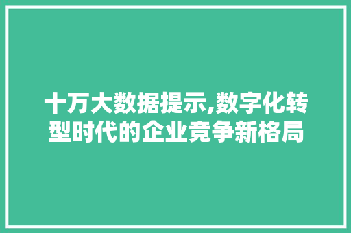 十万大数据提示,数字化转型时代的企业竞争新格局