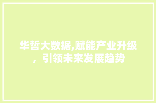 华哲大数据,赋能产业升级，引领未来发展趋势 必应SEO