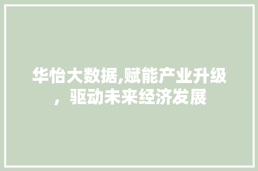 华怡大数据,赋能产业升级，驱动未来经济发展 神马SEO