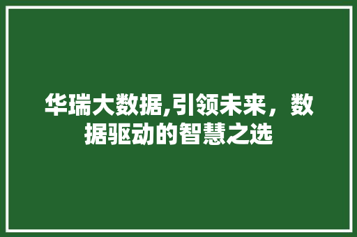 华瑞大数据,引领未来，数据驱动的智慧之选 必应SEO