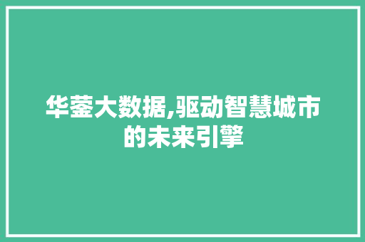 华蓥大数据,驱动智慧城市的未来引擎