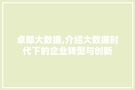 卓郎大数据,介绍大数据时代下的企业转型与创新 必应SEO