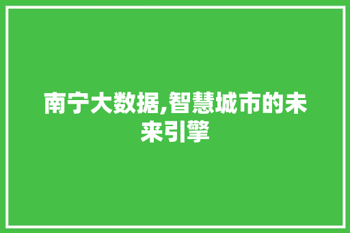 南宁大数据,智慧城市的未来引擎 GoogleSEO