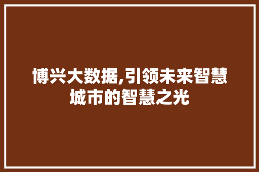 博兴大数据,引领未来智慧城市的智慧之光