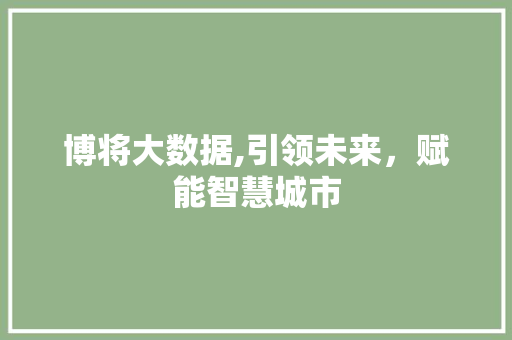 博将大数据,引领未来，赋能智慧城市