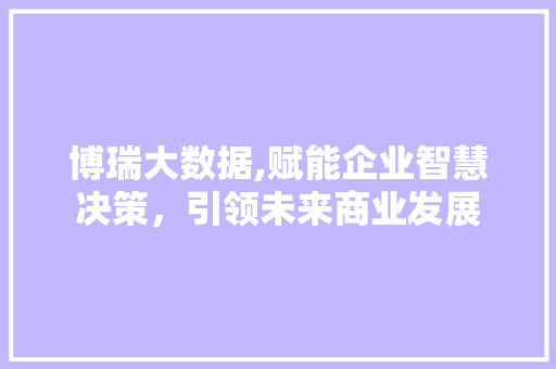 博瑞大数据,赋能企业智慧决策，引领未来商业发展