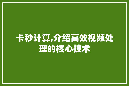 卡秒计算,介绍高效视频处理的核心技术