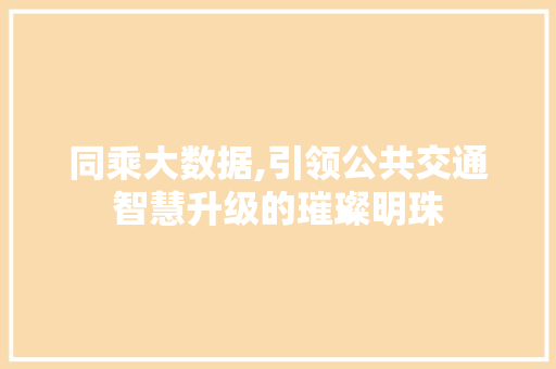 同乘大数据,引领公共交通智慧升级的璀璨明珠