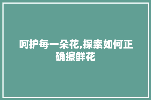 呵护每一朵花,探索如何正确擦鲜花