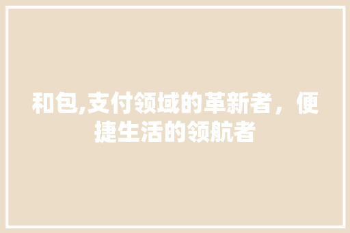 和包,支付领域的革新者，便捷生活的领航者
