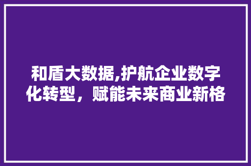 和盾大数据,护航企业数字化转型，赋能未来商业新格局