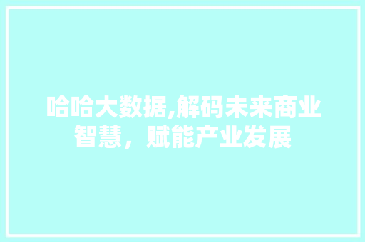 哈哈大数据,解码未来商业智慧，赋能产业发展 神马SEO