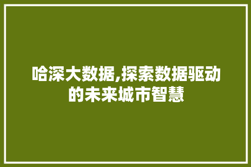 哈深大数据,探索数据驱动的未来城市智慧
