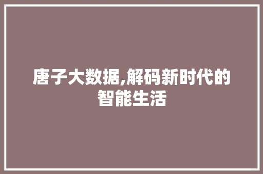 唐子大数据,解码新时代的智能生活 百度SEO