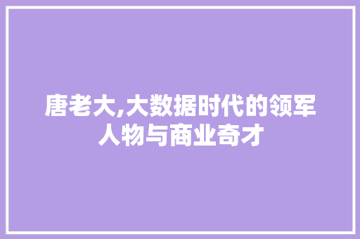 唐老大,大数据时代的领军人物与商业奇才